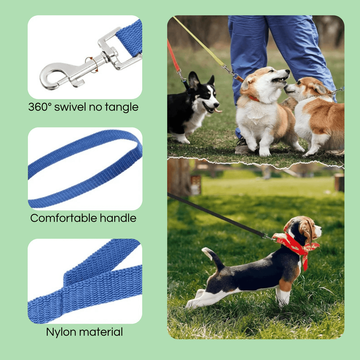 10m Dog Training Leash – ControlCraft™