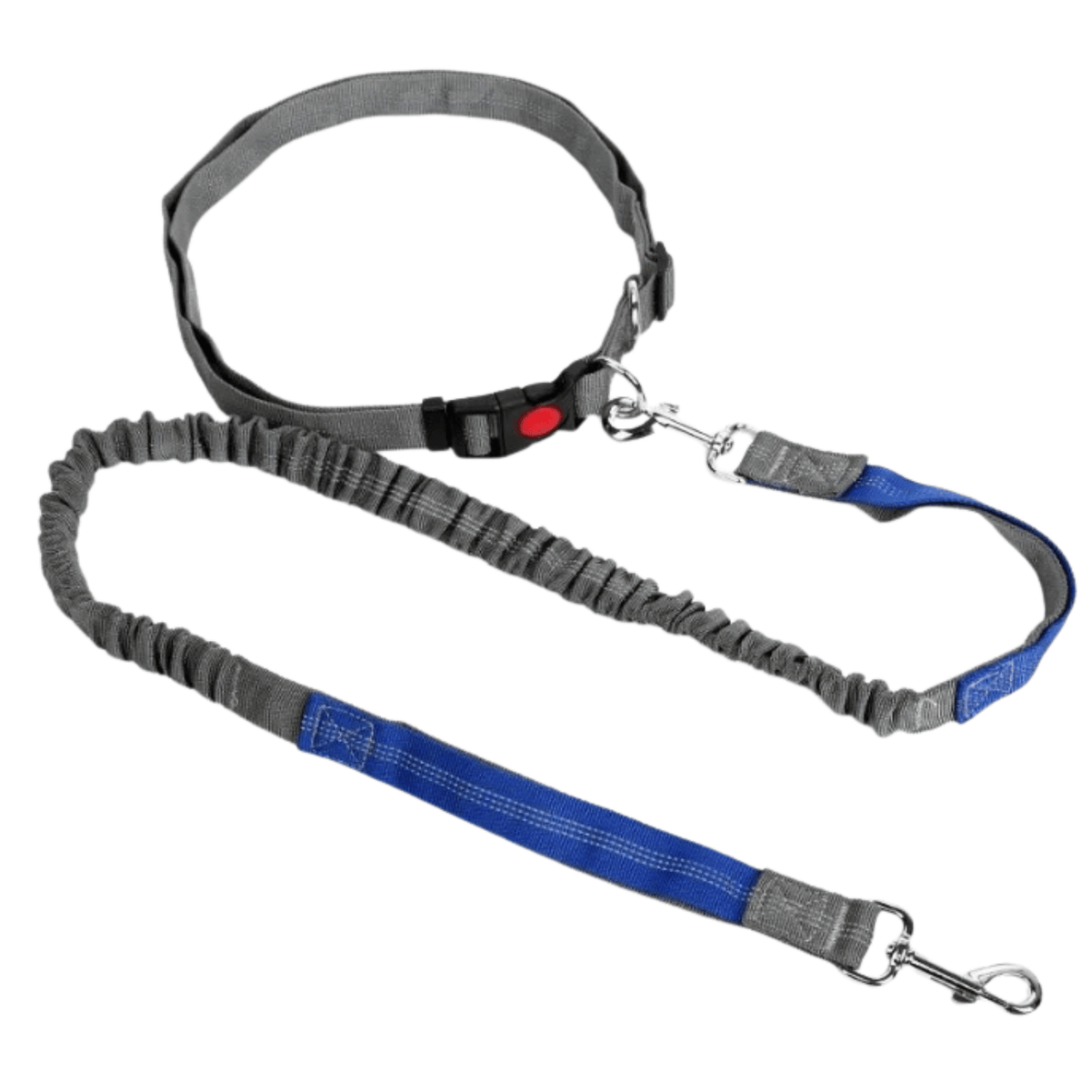 Hands-Free Dog Leash with Waist Belt – LeadView™