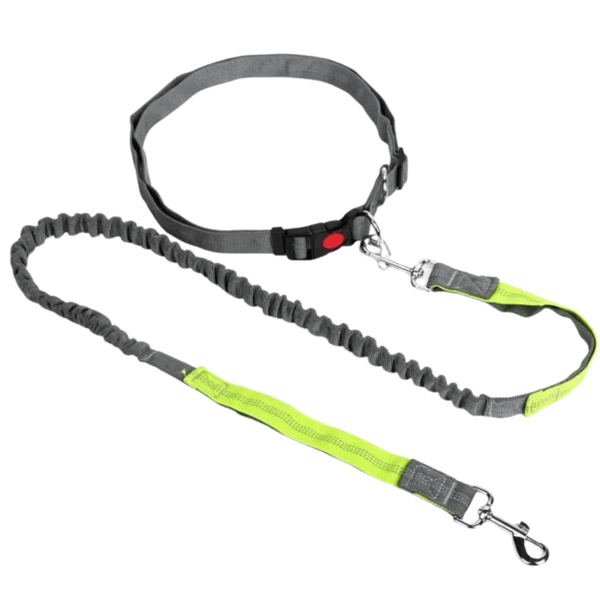 Hands-Free Dog Leash with Waist Belt – LeadView™