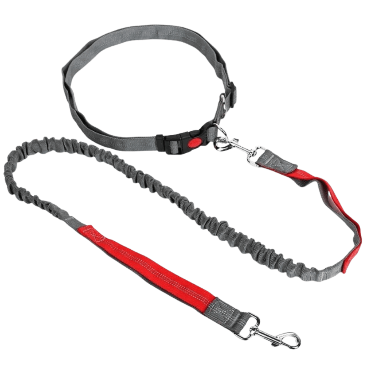 Hands-Free Dog Leash with Waist Belt – LeadView™