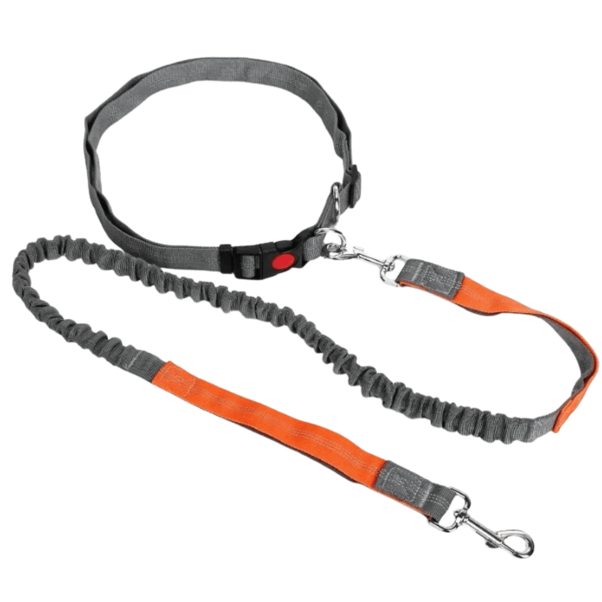 Hands-Free Dog Leash with Waist Belt – LeadView™