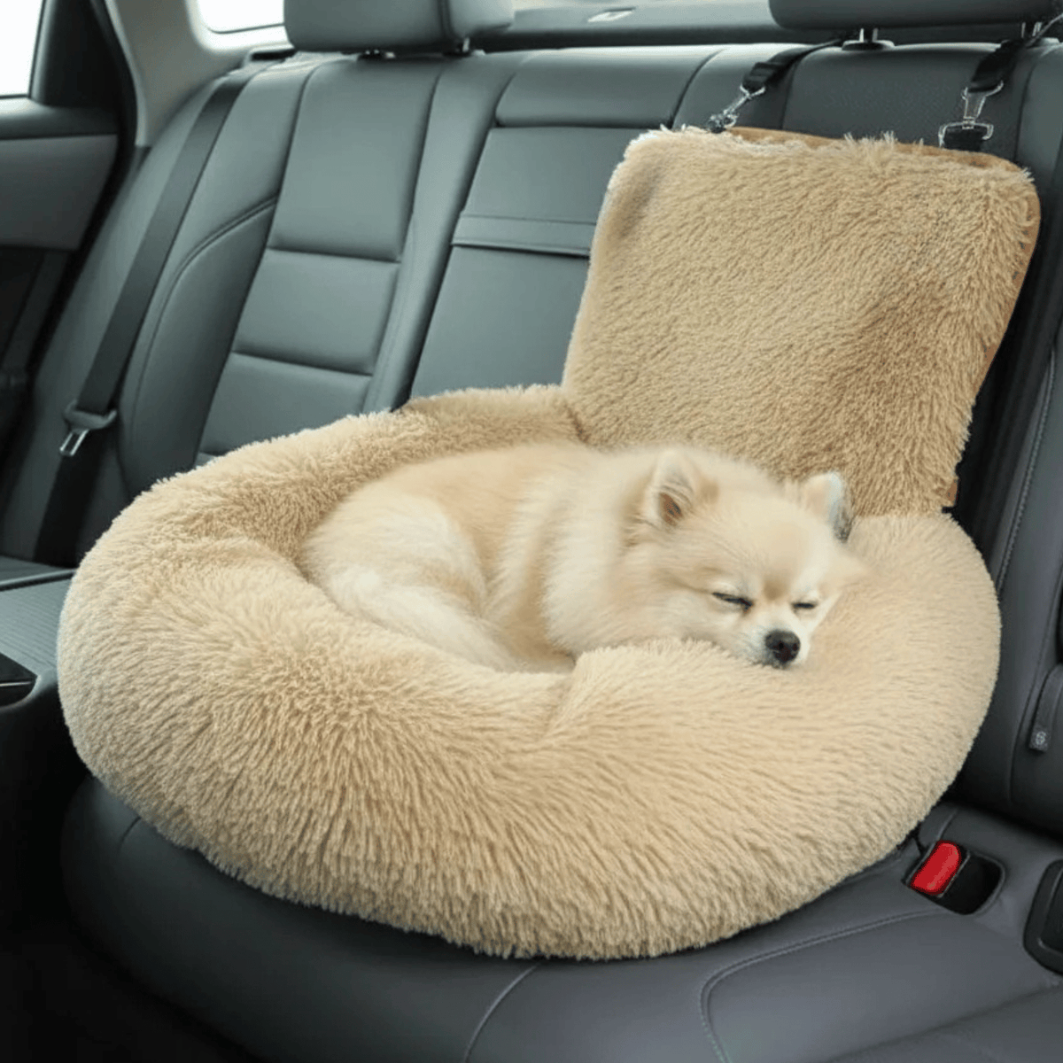Luxury Elevated Dog Car Bed – RidePaws™