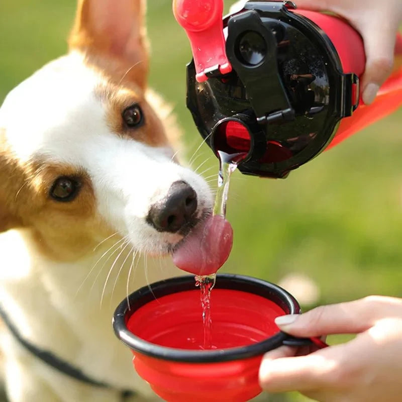 2-in-1 Dog & Cat Water Bottle with Food Container – FlowJoy™
