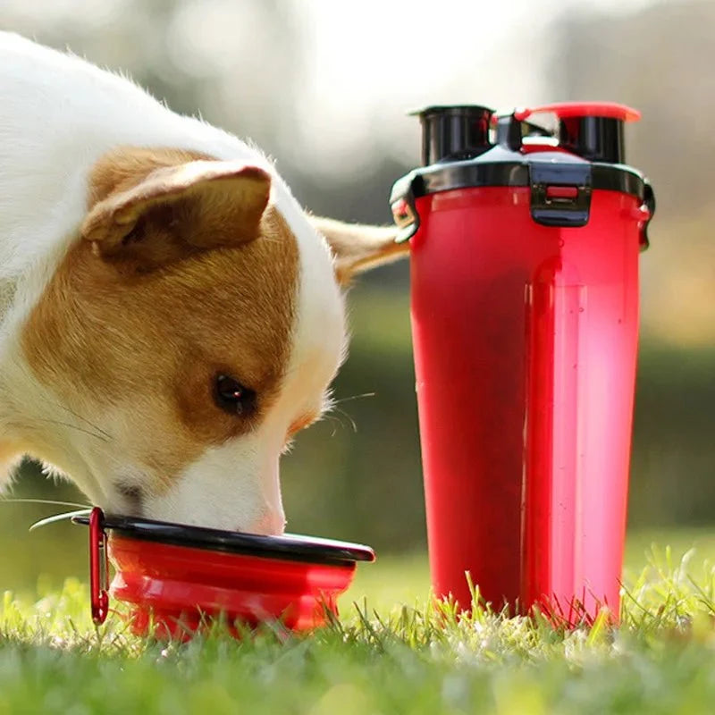 2-in-1 Dog & Cat Water Bottle with Food Container – FlowJoy™