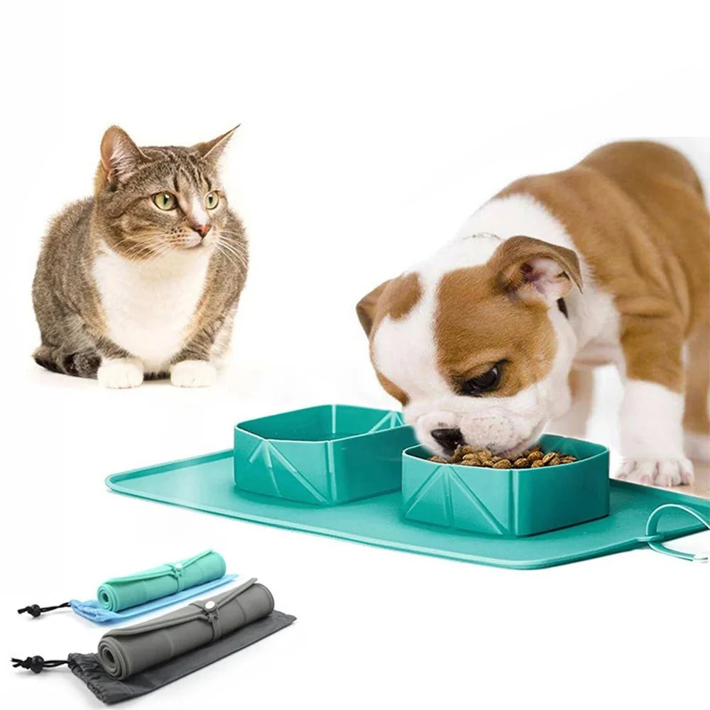Foldable 2-in-1 Pet Food & Water Bowl – DinePlus™
