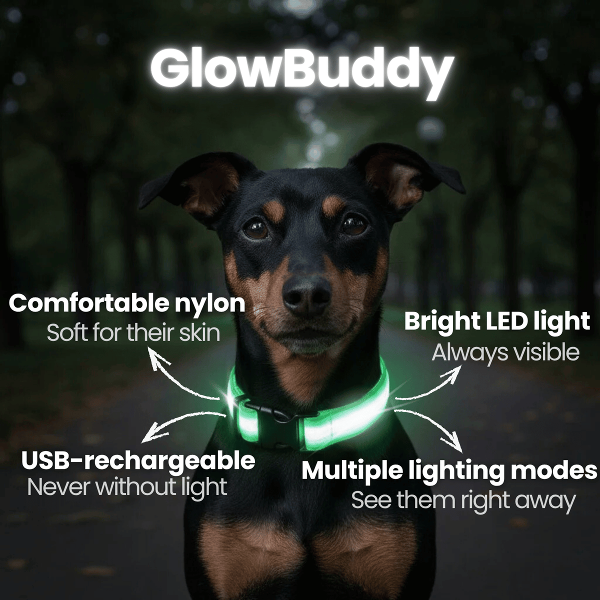 LED Dog Collar for Everyday Walks – StrideSmart™