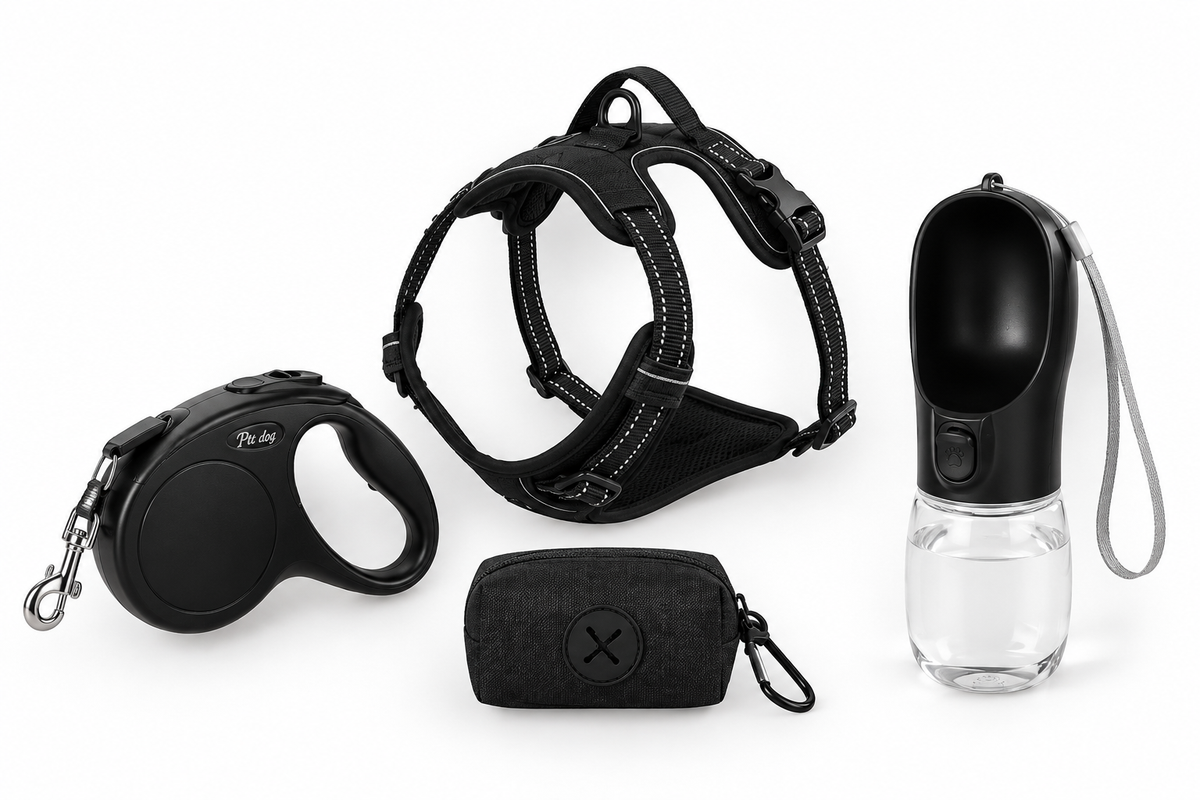Everyday Dog Walking Bundle – CareTouch™