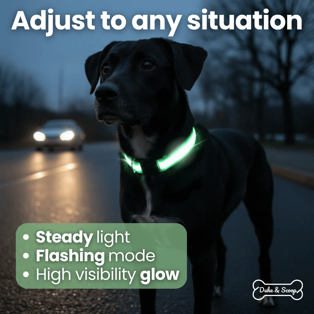 LED Dog Collar for Everyday Walks – StrideSmart™