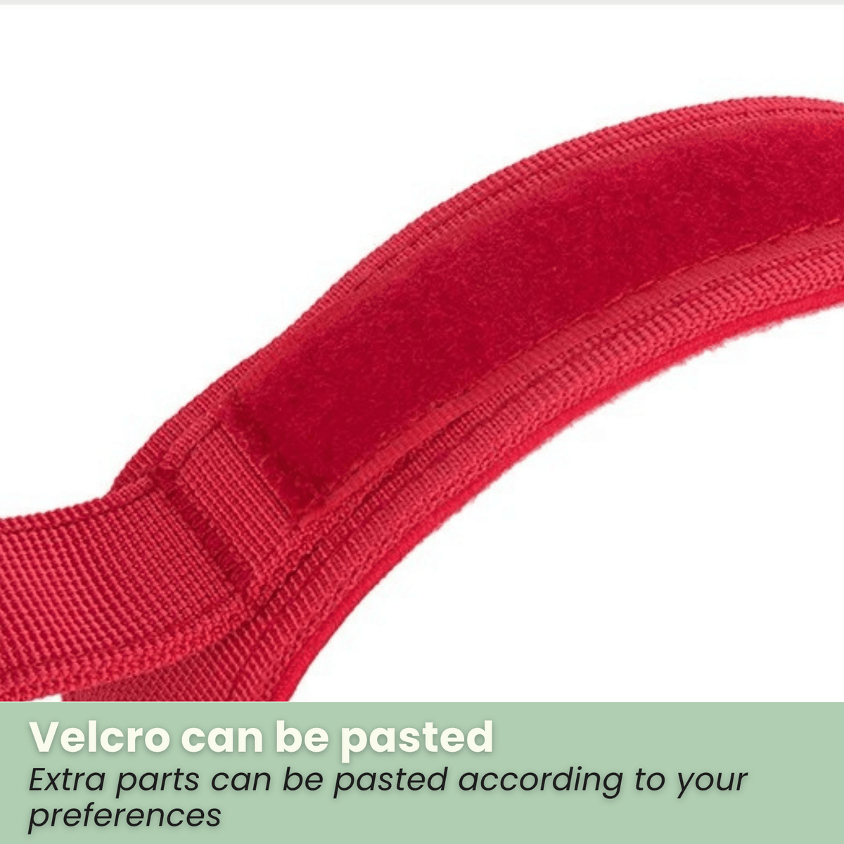 Nylon Adjustable Dog Collar – MotionPath™