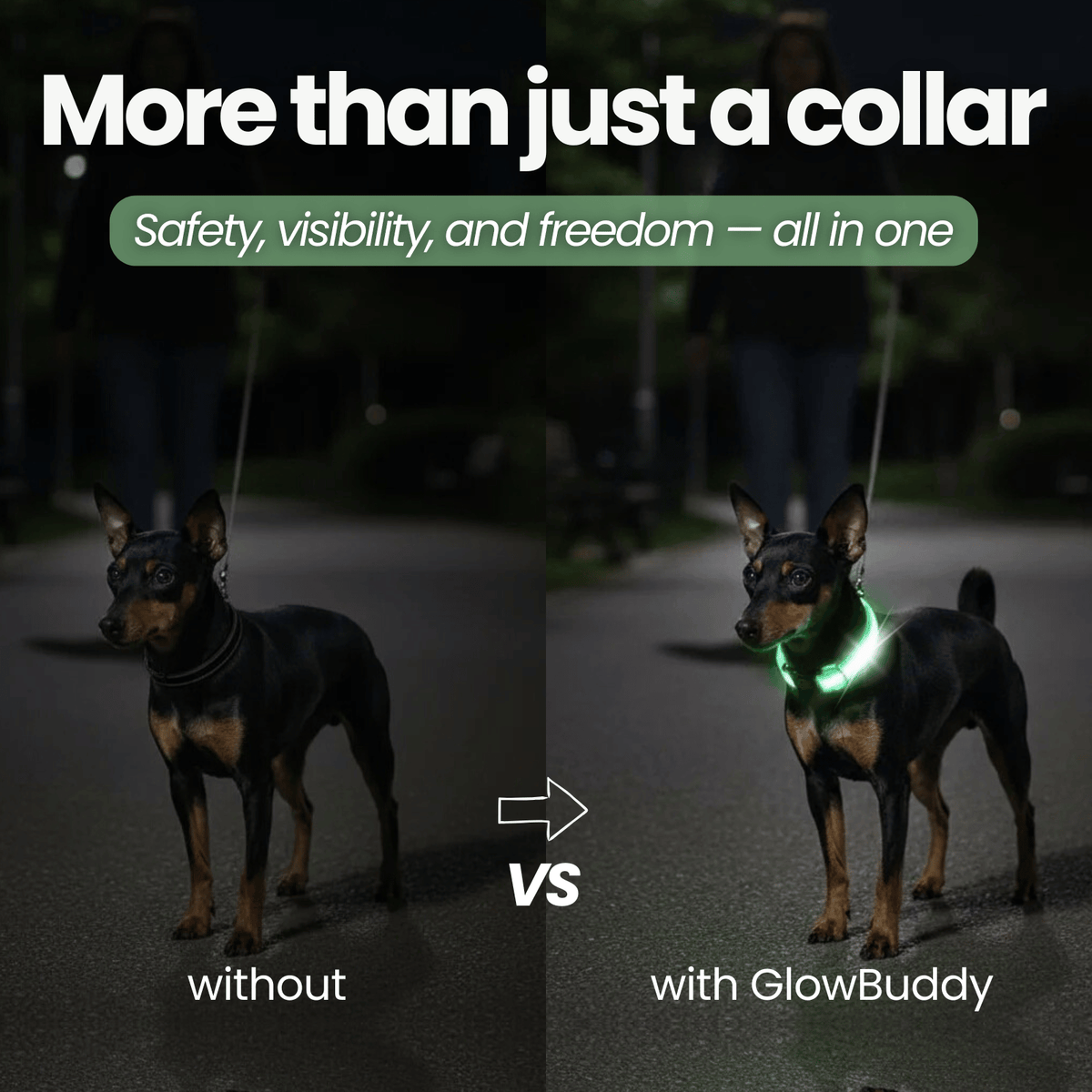 LED Dog Collar for Everyday Walks – StrideSmart™