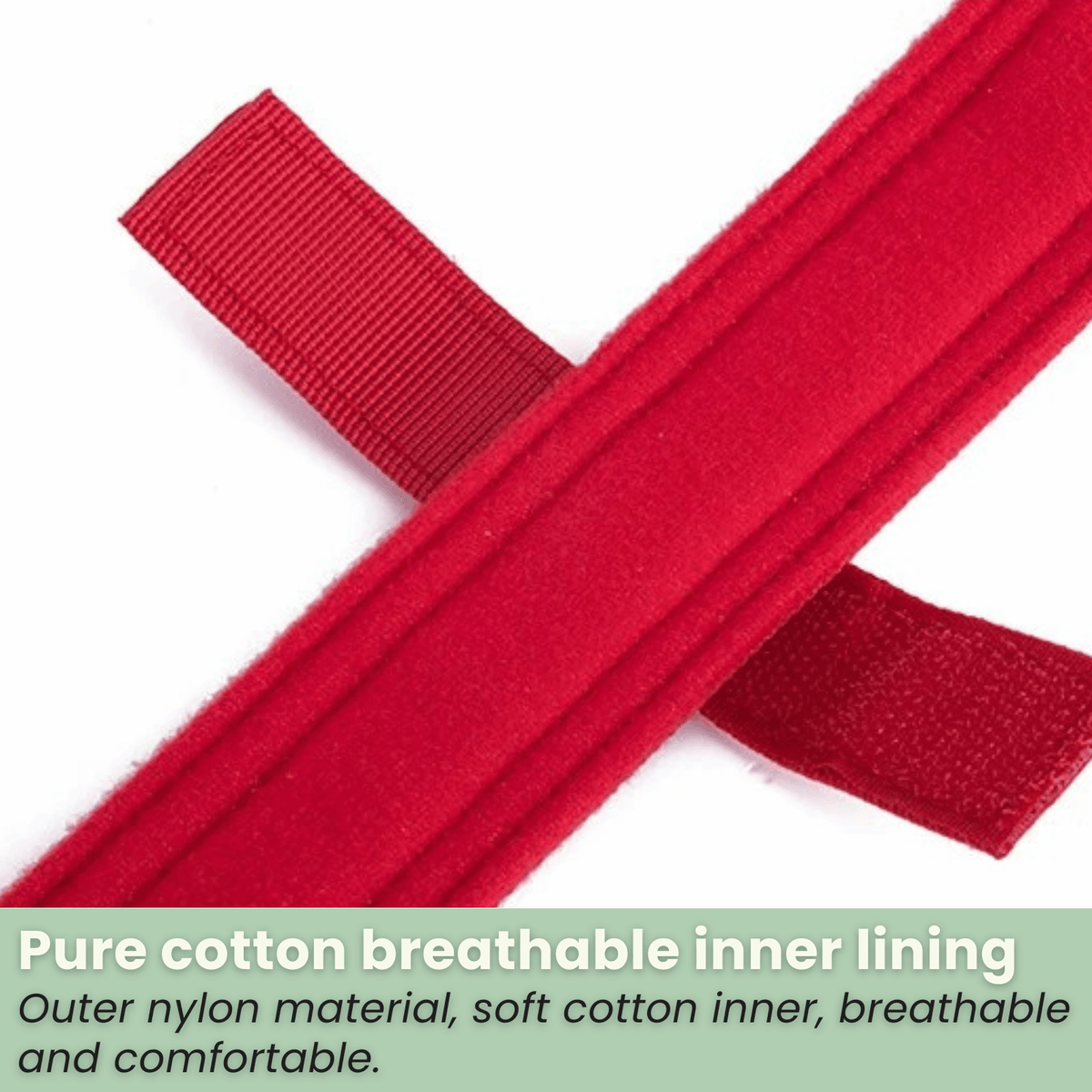 Nylon Adjustable Dog Collar – MotionPath™