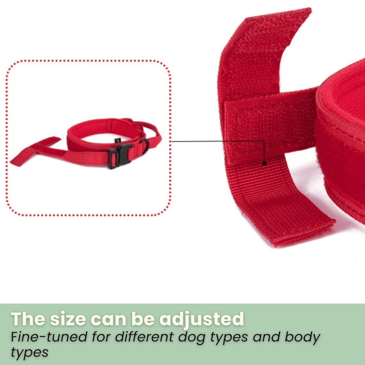 Nylon Adjustable Dog Collar – MotionPath™