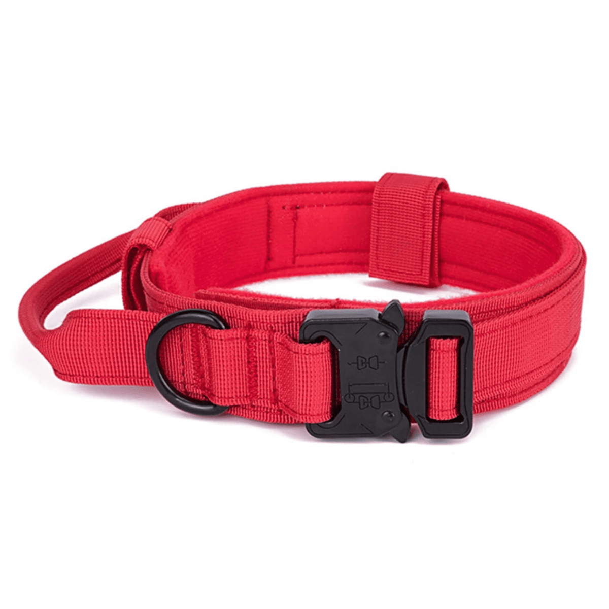 Nylon Adjustable Dog Collar – MotionPath™