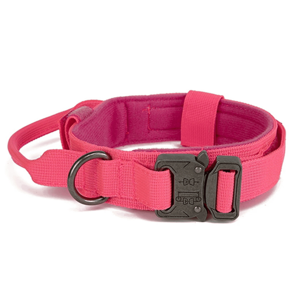 Nylon Adjustable Dog Collar – MotionPath™