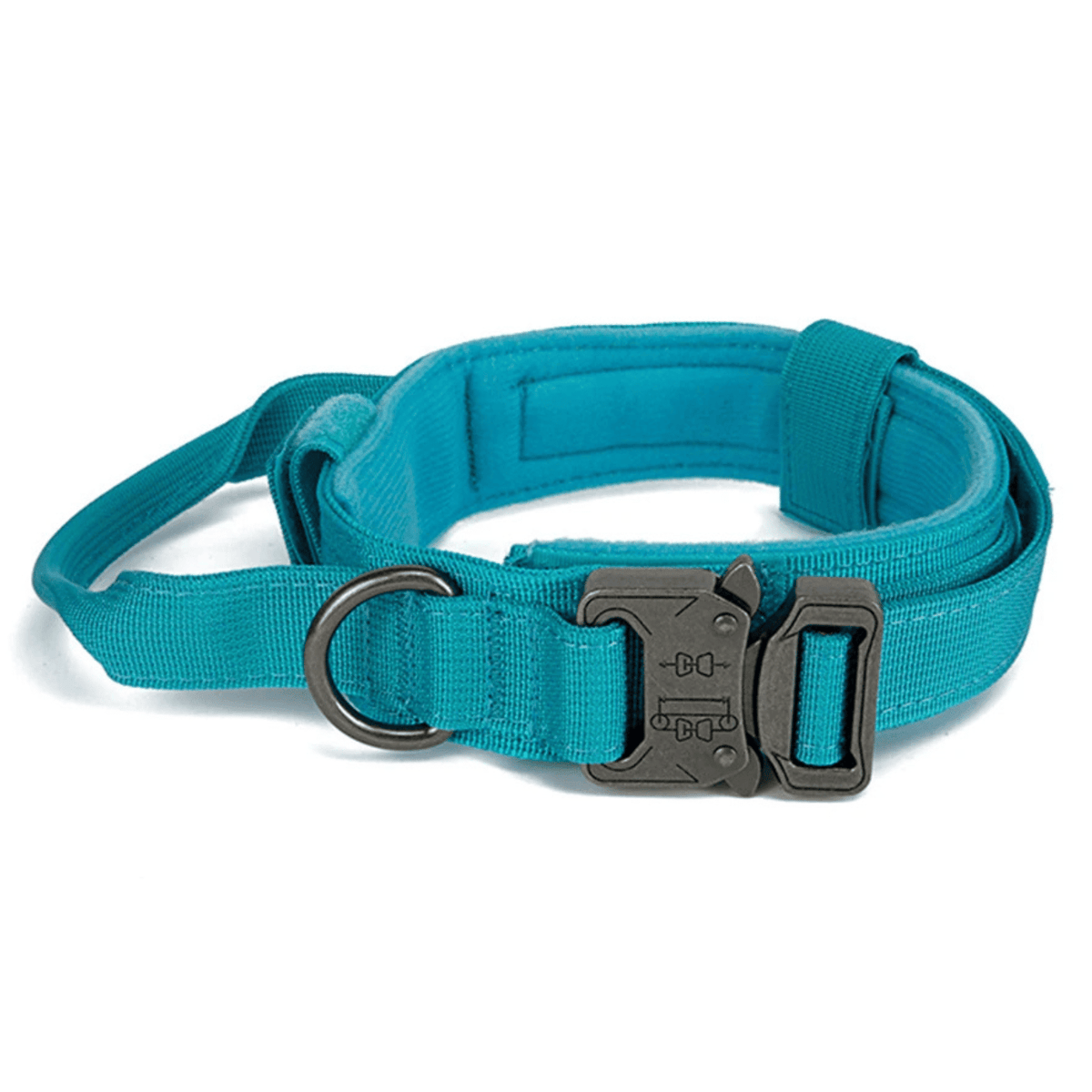 Nylon Adjustable Dog Collar – MotionPath™