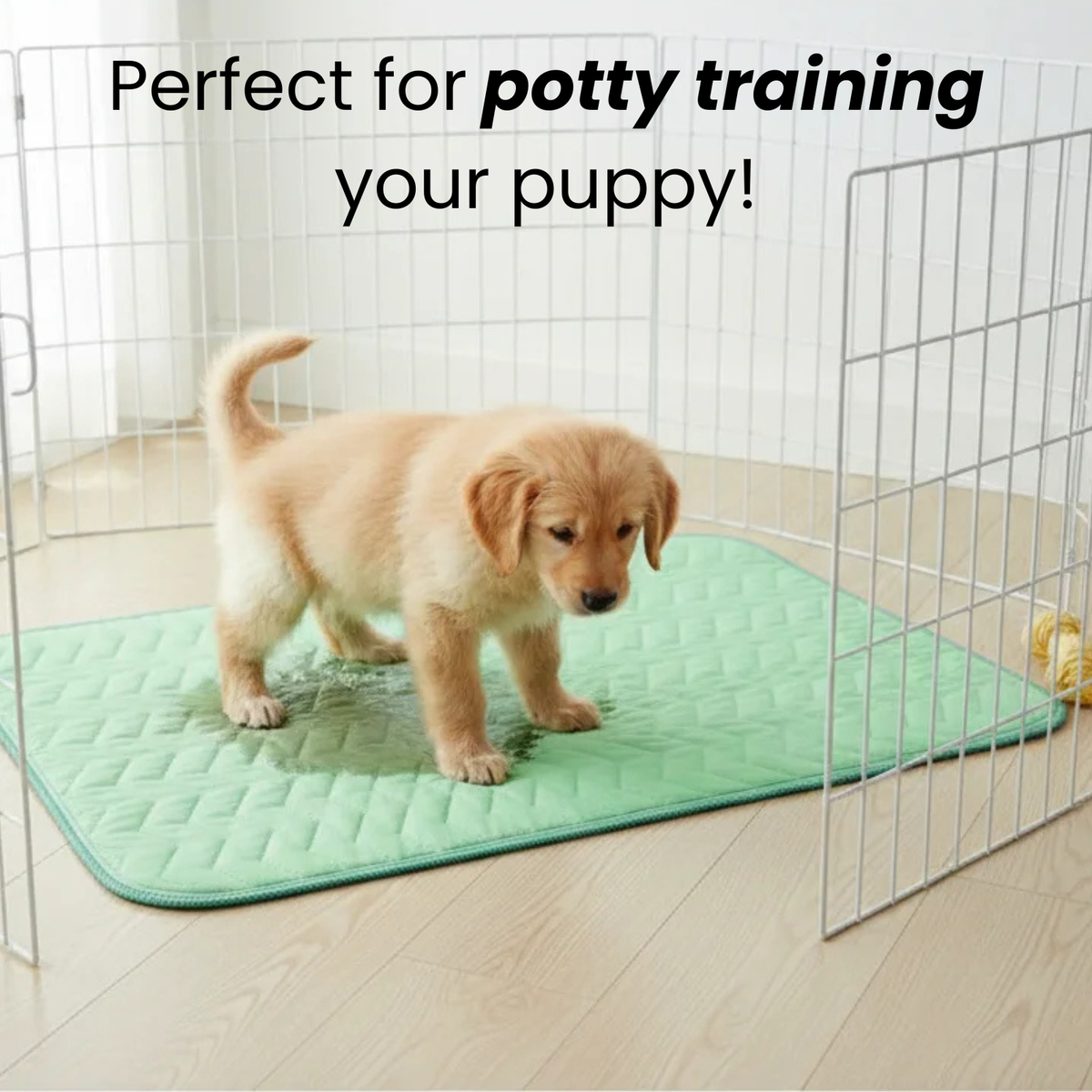 Washable Waterproof Pet Protection Mat – ComfortTrail™