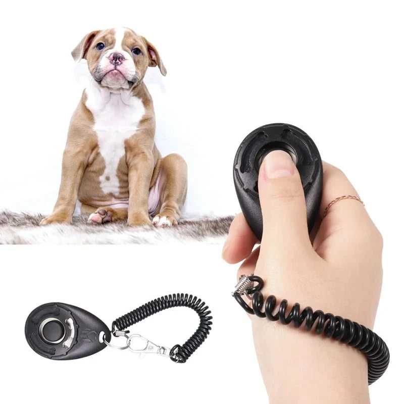 Dog Training Clicker & Whistle Set – CareQuest™