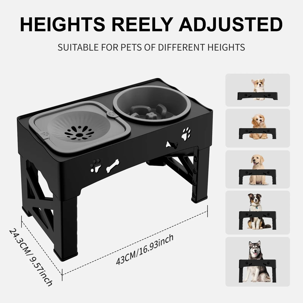 Adjustable Raised Slow Feeder Bowl – MealEssentials™