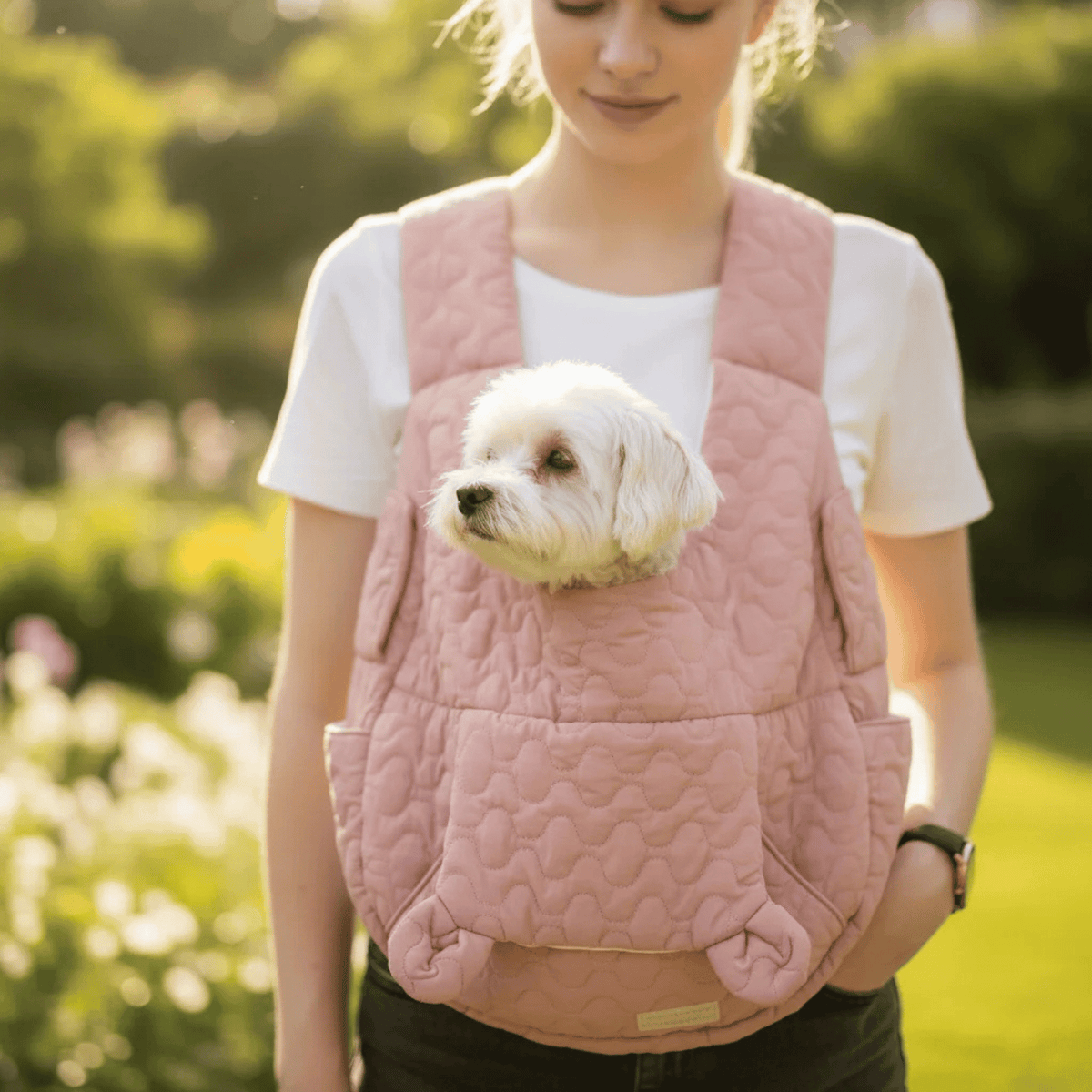 Front-Carry Pet Carrier for Small Dogs & Cats – CarrySelect™