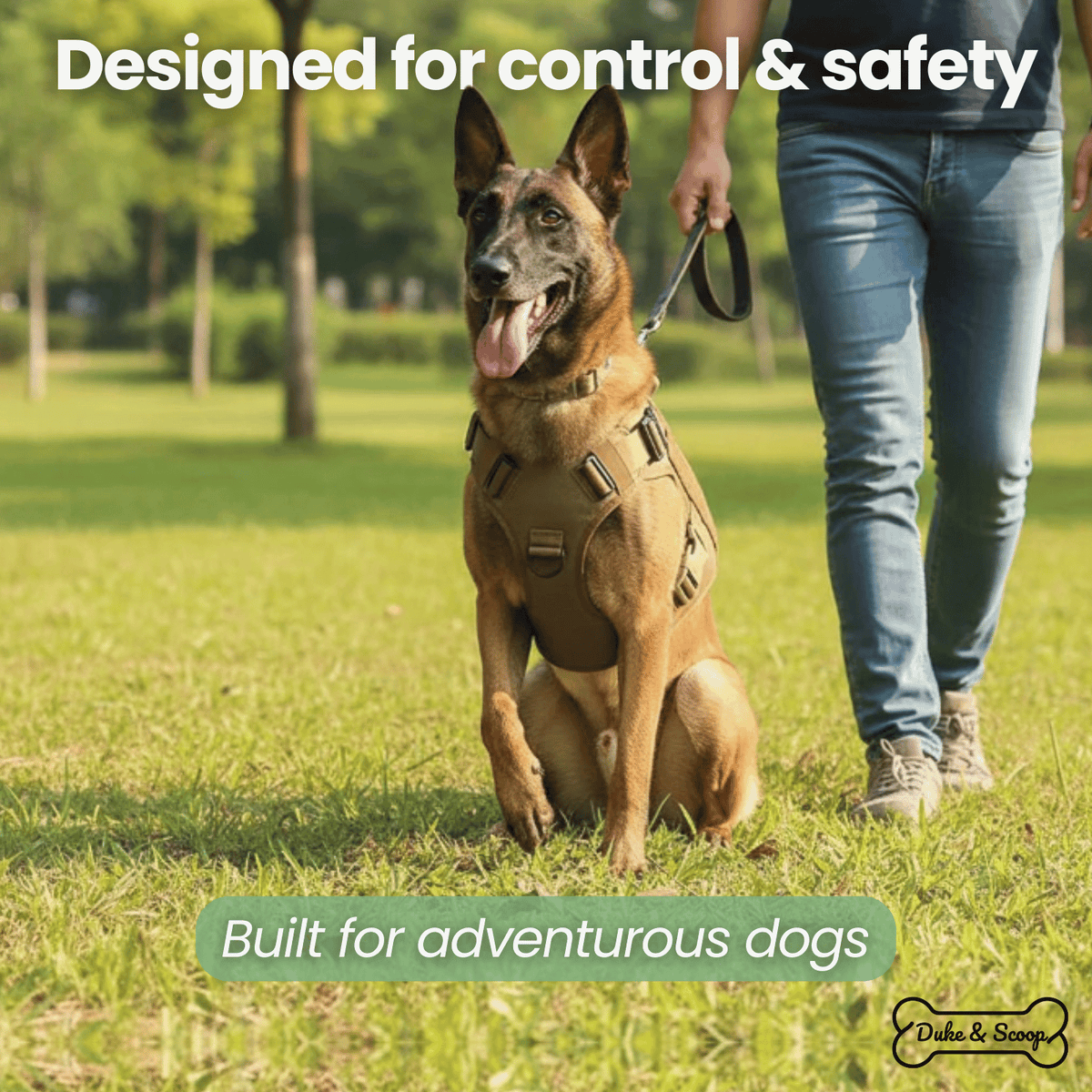 Tactical Dog Harness – HoldPlus™