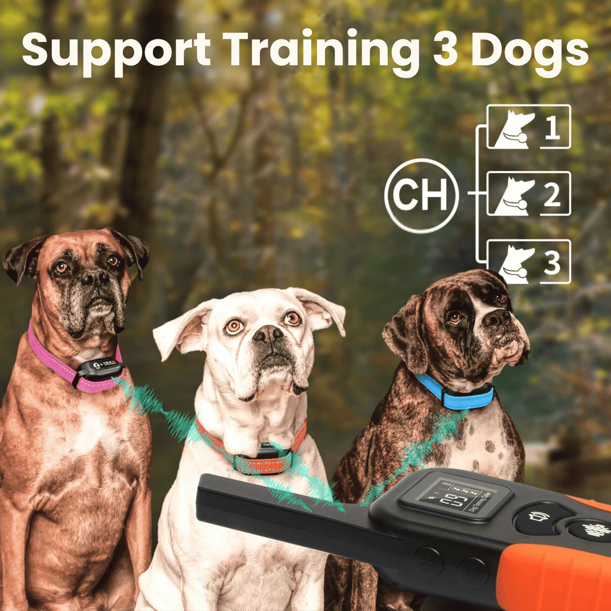 Tailented PawSafe™ – Adjustable Anti-Bark Training Collar for Dogs