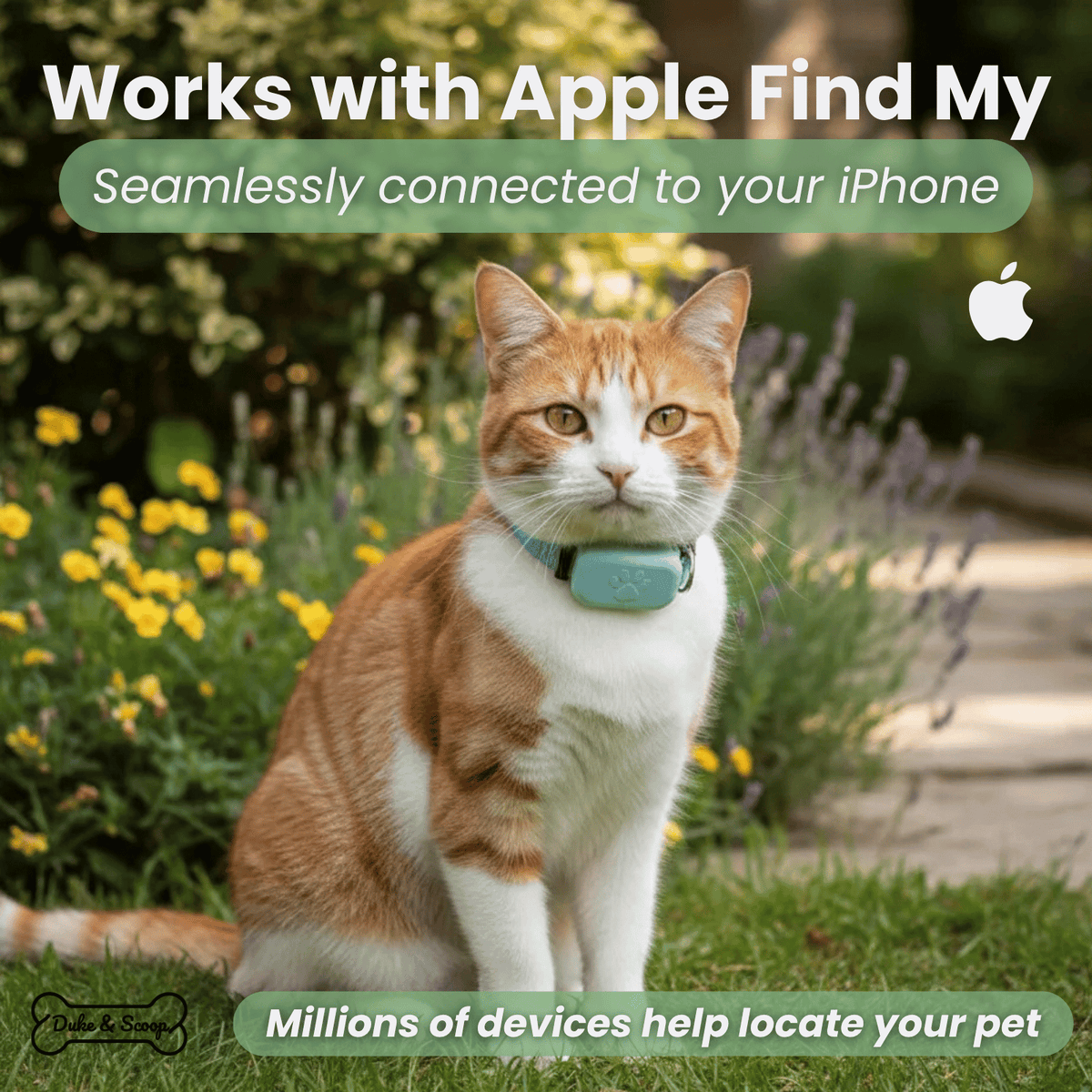 iOS Pet Tracker for Dogs & Cats – BeaconEssentials™