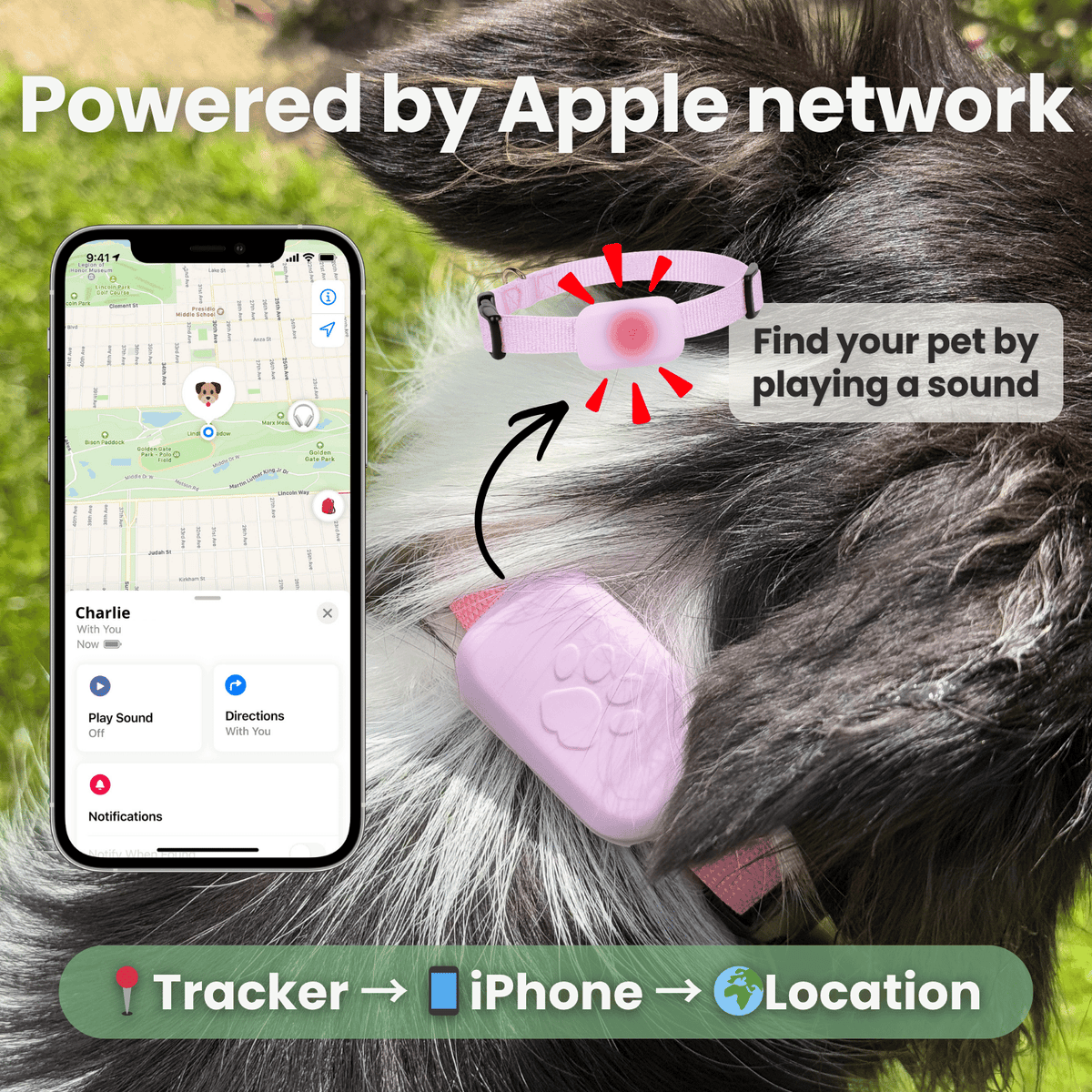 iOS Pet Tracker for Dogs & Cats – BeaconEssentials™