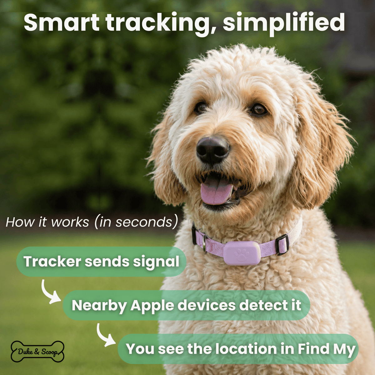 iOS Pet Tracker for Dogs & Cats – BeaconEssentials™