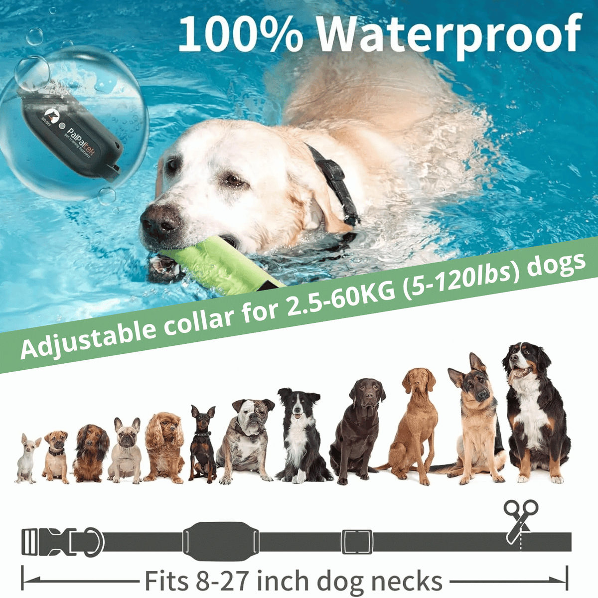 Tailented PawSafe™ – Adjustable Anti-Bark Training Collar for Dogs