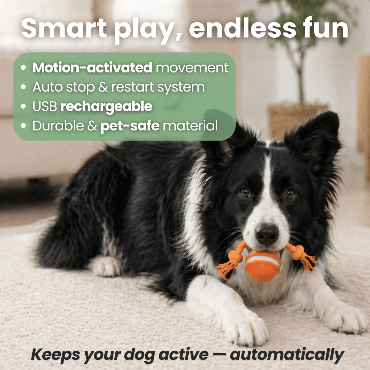 Automatic Interactive Ball Toy for Dogs – JoyView™