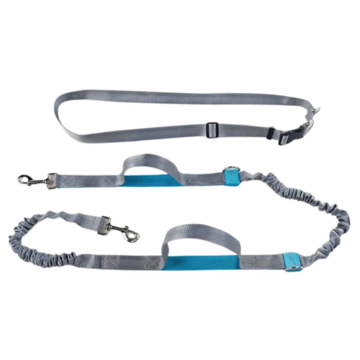 Hands-Free Dog Leash for Running – LeadMotion™
