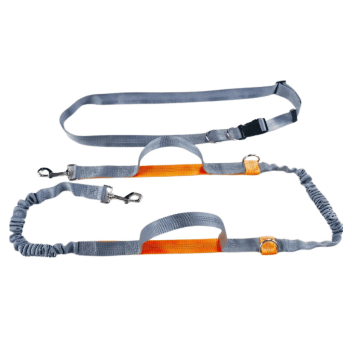 Hands-Free Dog Leash for Running – LeadMotion™