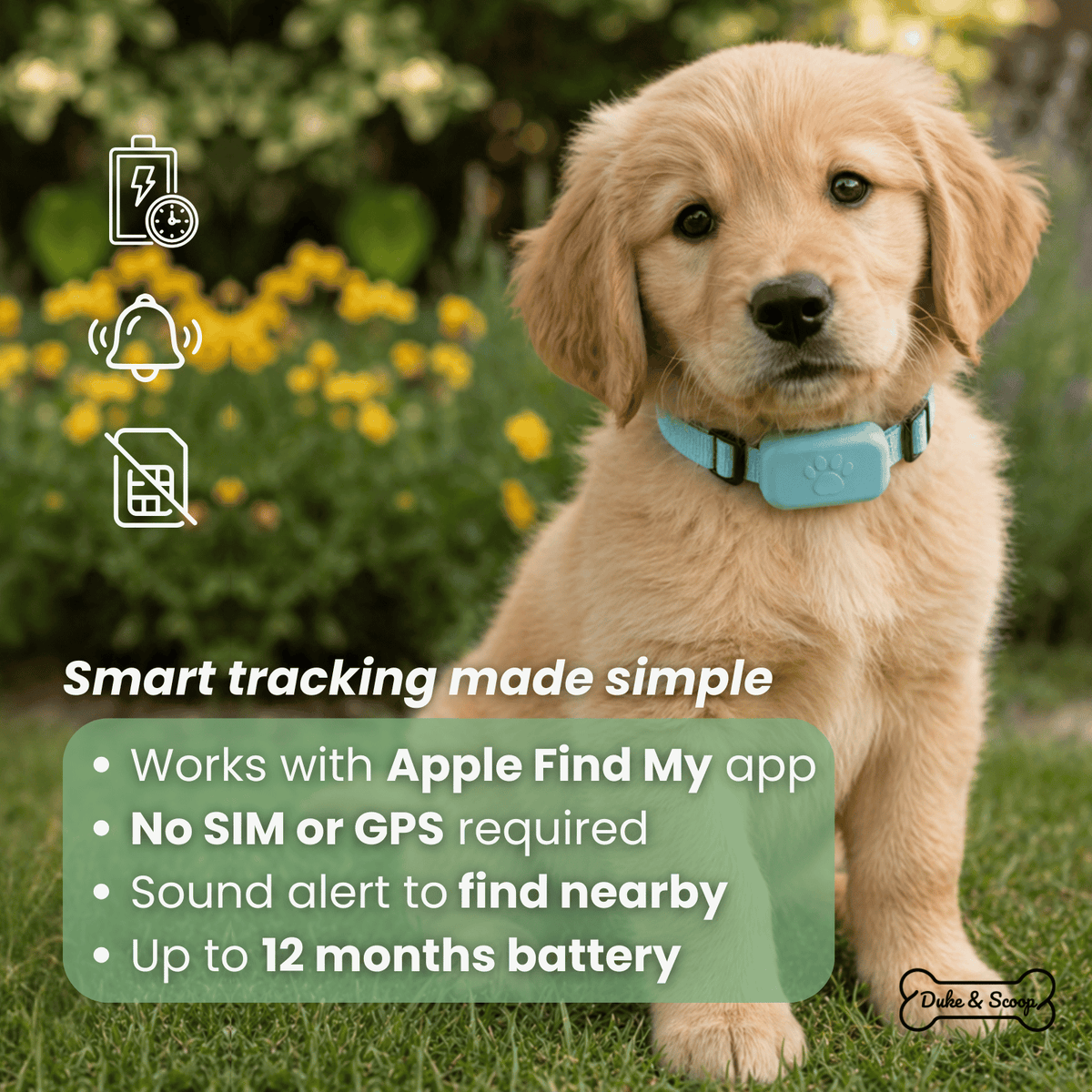 iOS Pet Tracker for Dogs & Cats – BeaconEssentials™
