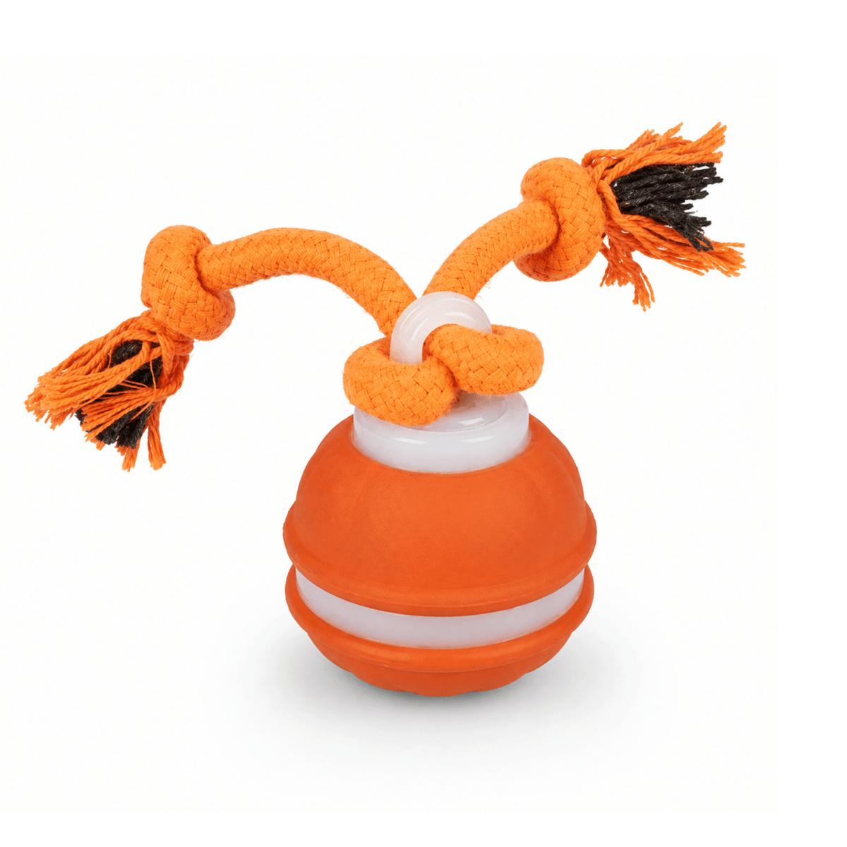 Automatic Interactive Ball Toy for Dogs – JoyView™
