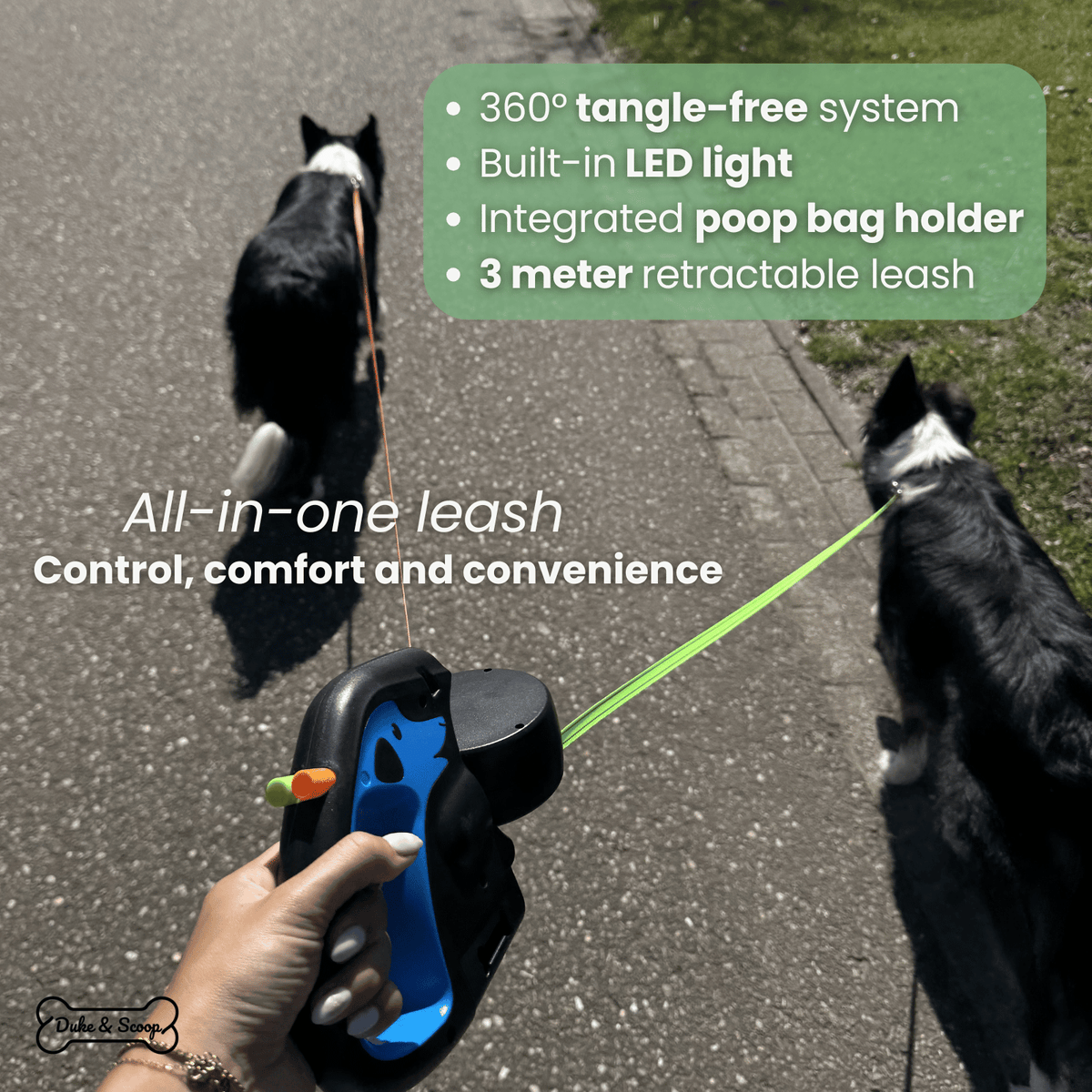 3-in-1 Dual Dog Leash with Flashlight – RouteLink™