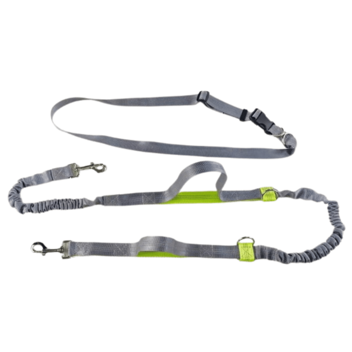Hands-Free Dog Leash for Running – LeadMotion™