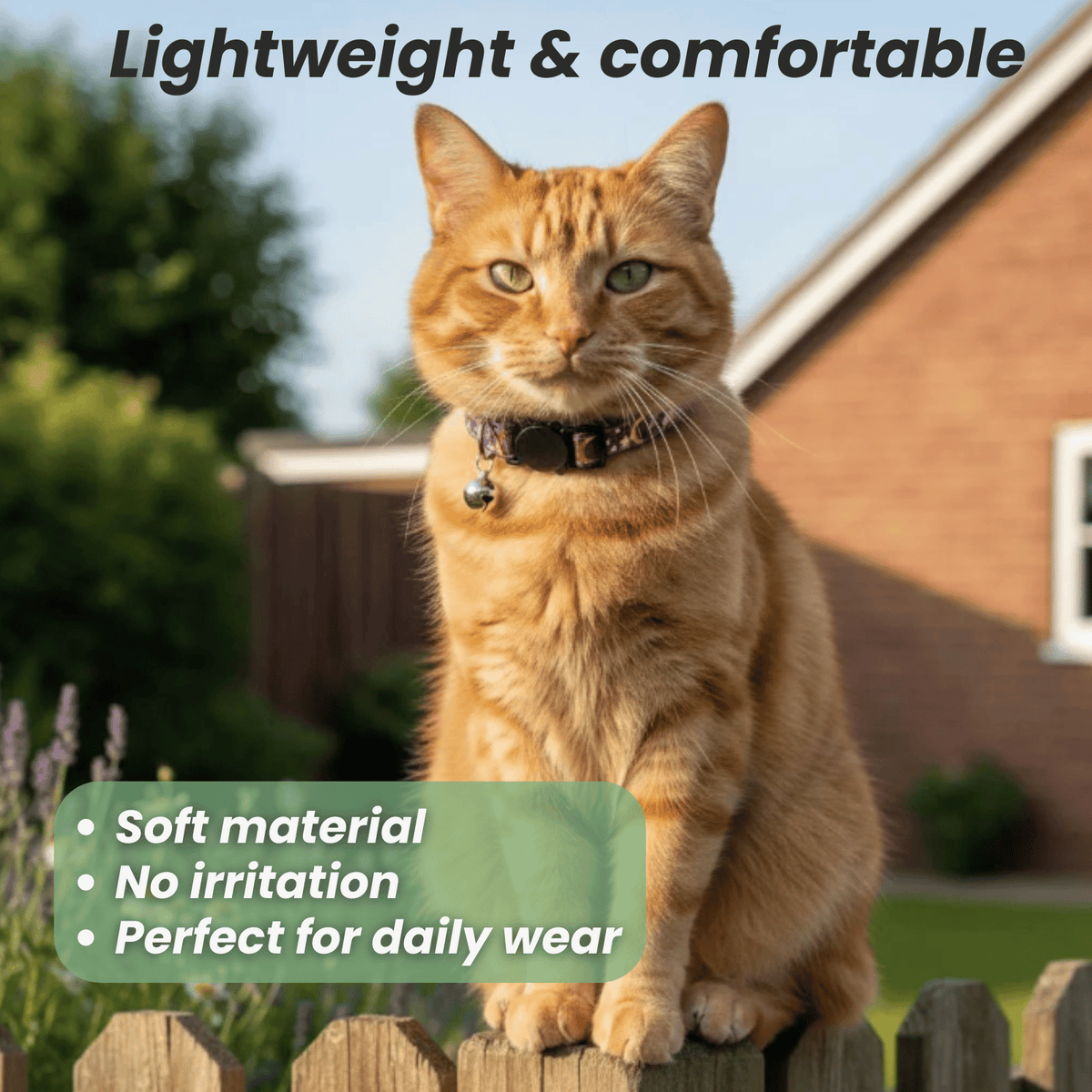 Reflective Cat Collar with Bell – FlexWave™