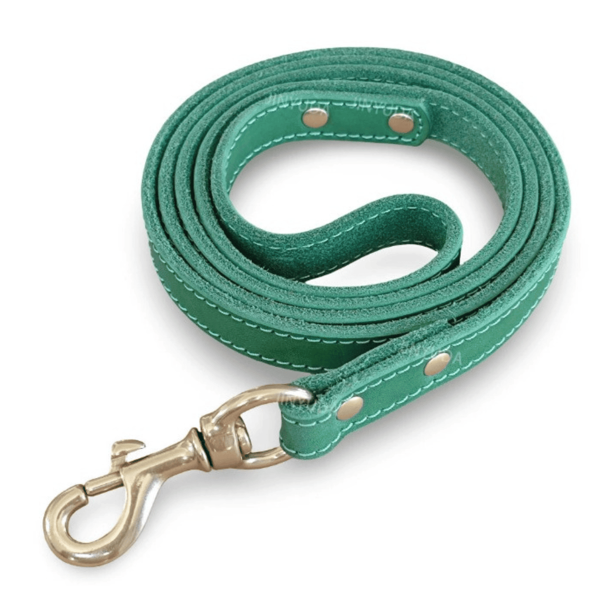 Tailented RouteLuxe™ – 5ft Leather Dog Leash for Everyday Walks