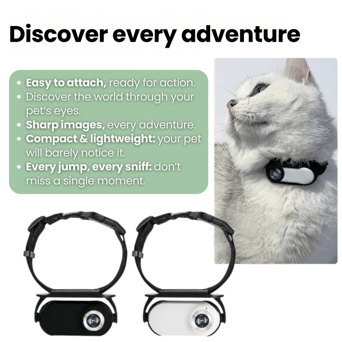 Tailented VisionWise™ – Pet Camera for Home Pet Monitoring