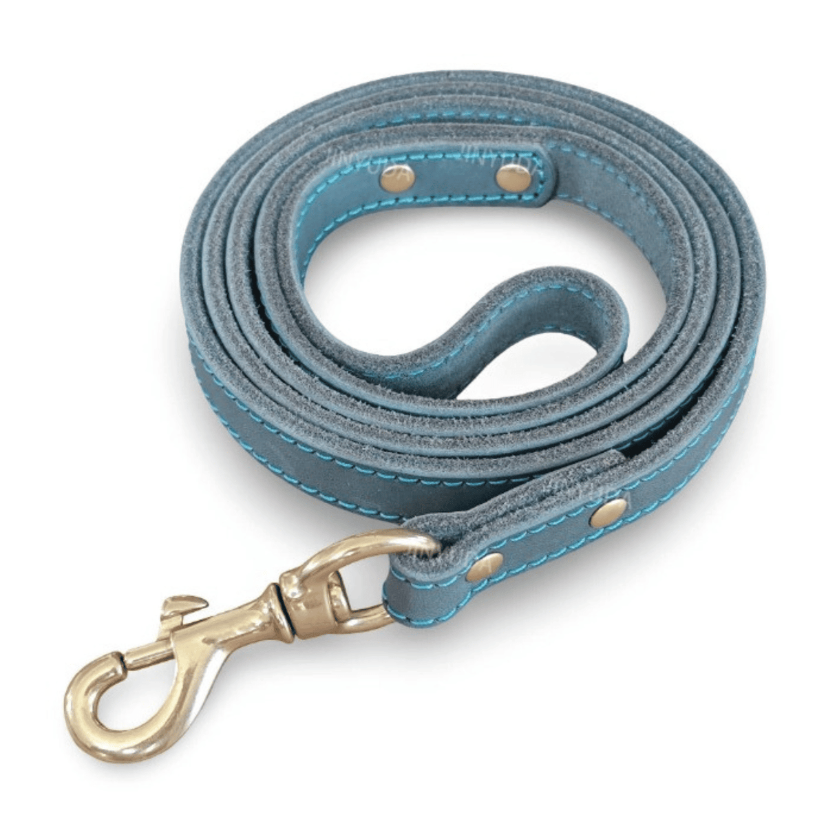 Tailented RouteLuxe™ – 5ft Leather Dog Leash for Everyday Walks