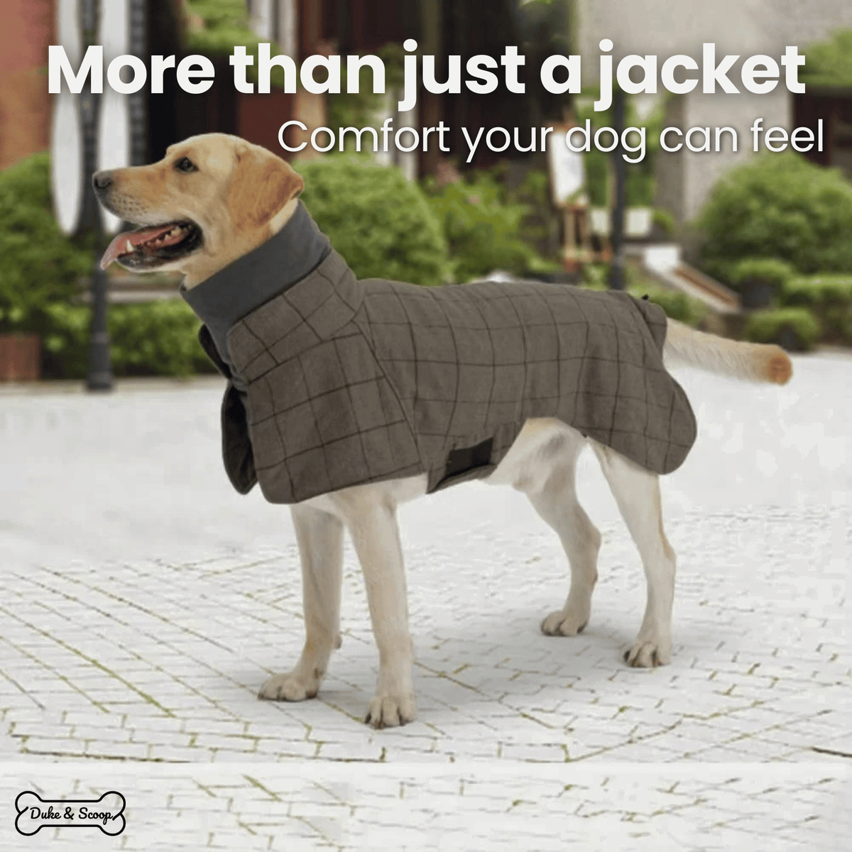 Tailented SnugFlex™ – Warm Dog Coat for Everyday Outdoor Wear