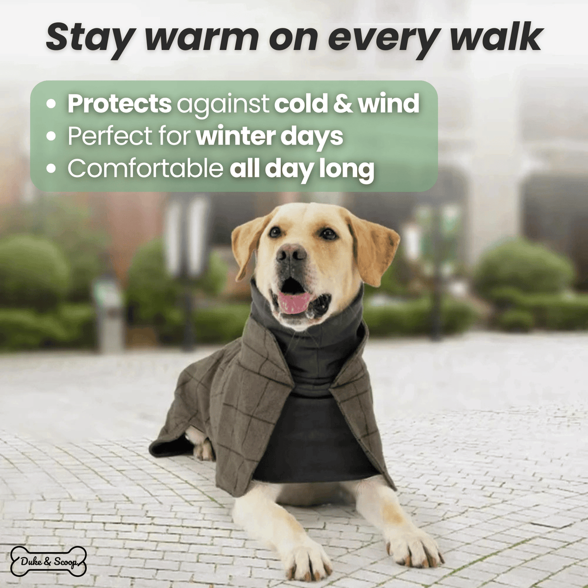 Tailented SnugFlex™ – Warm Dog Coat for Everyday Outdoor Wear