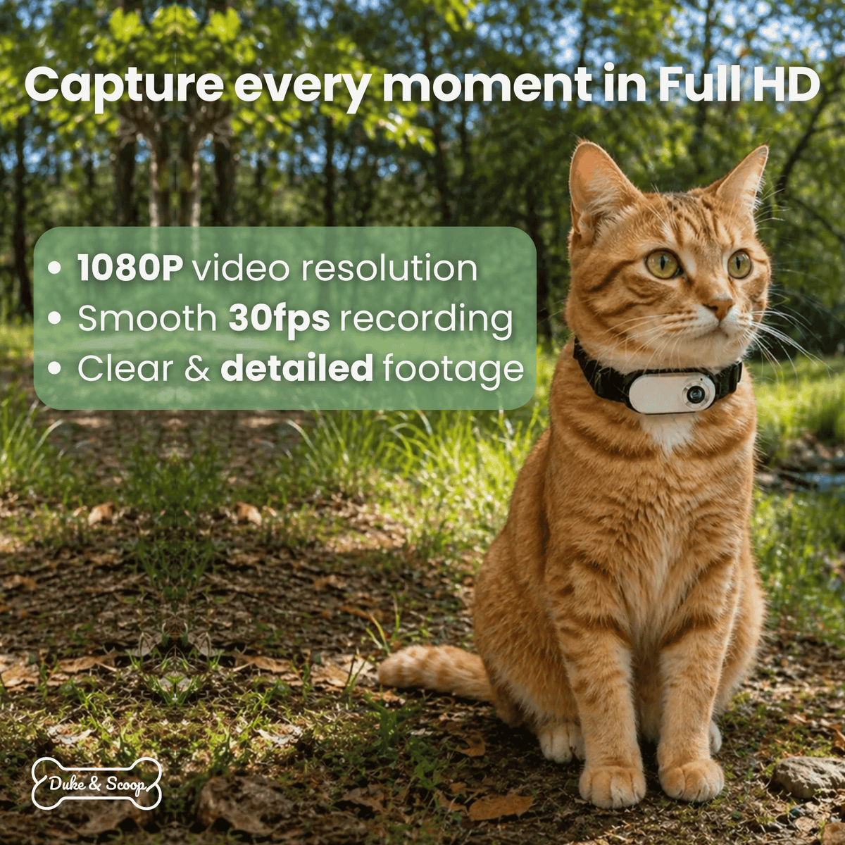 Tailented VisionWise™ – Pet Camera for Home Pet Monitoring