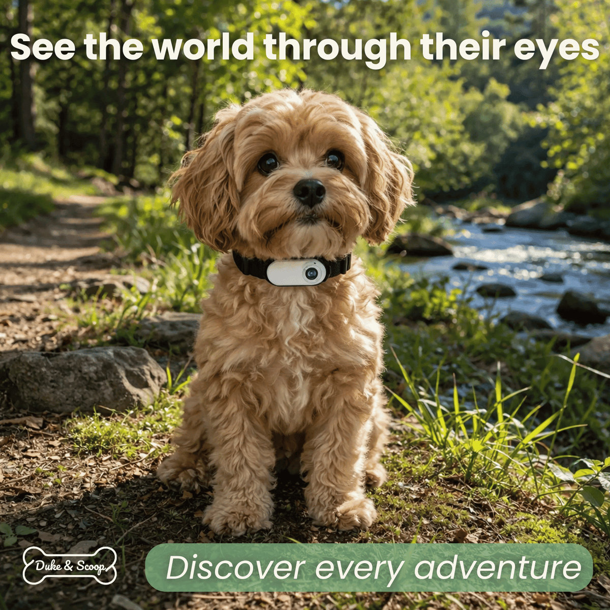 Tailented VisionWise™ – Pet Camera for Home Pet Monitoring