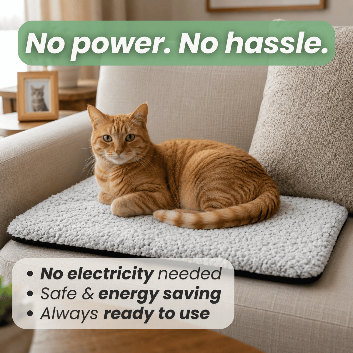 Self-Heating Pet Comfort Mat – LoungeEssentials™