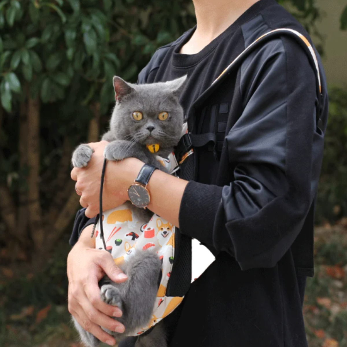 Breathable Pet Carrier Backpack for Dogs & Cats – TransitFresh™