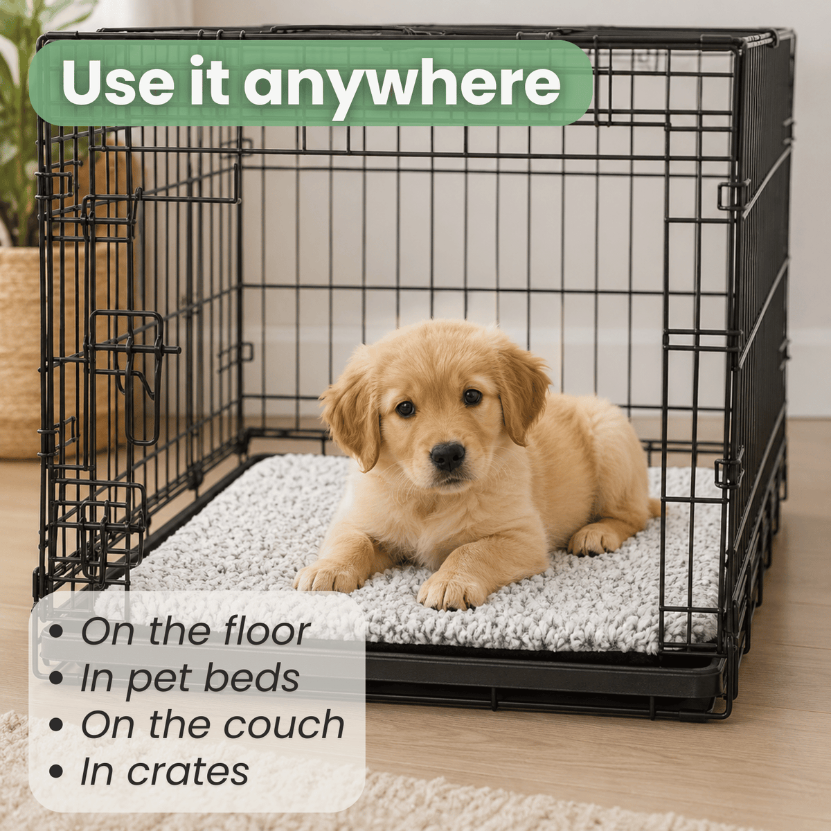 Self-Heating Pet Comfort Mat – LoungeEssentials™