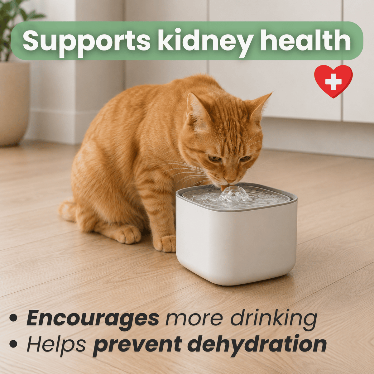 3L Automatic Cat Water Fountain – FlowActive™