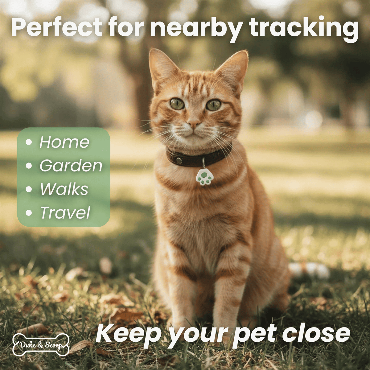 Mini Bluetooth Pet Tracker – TraceSphere™