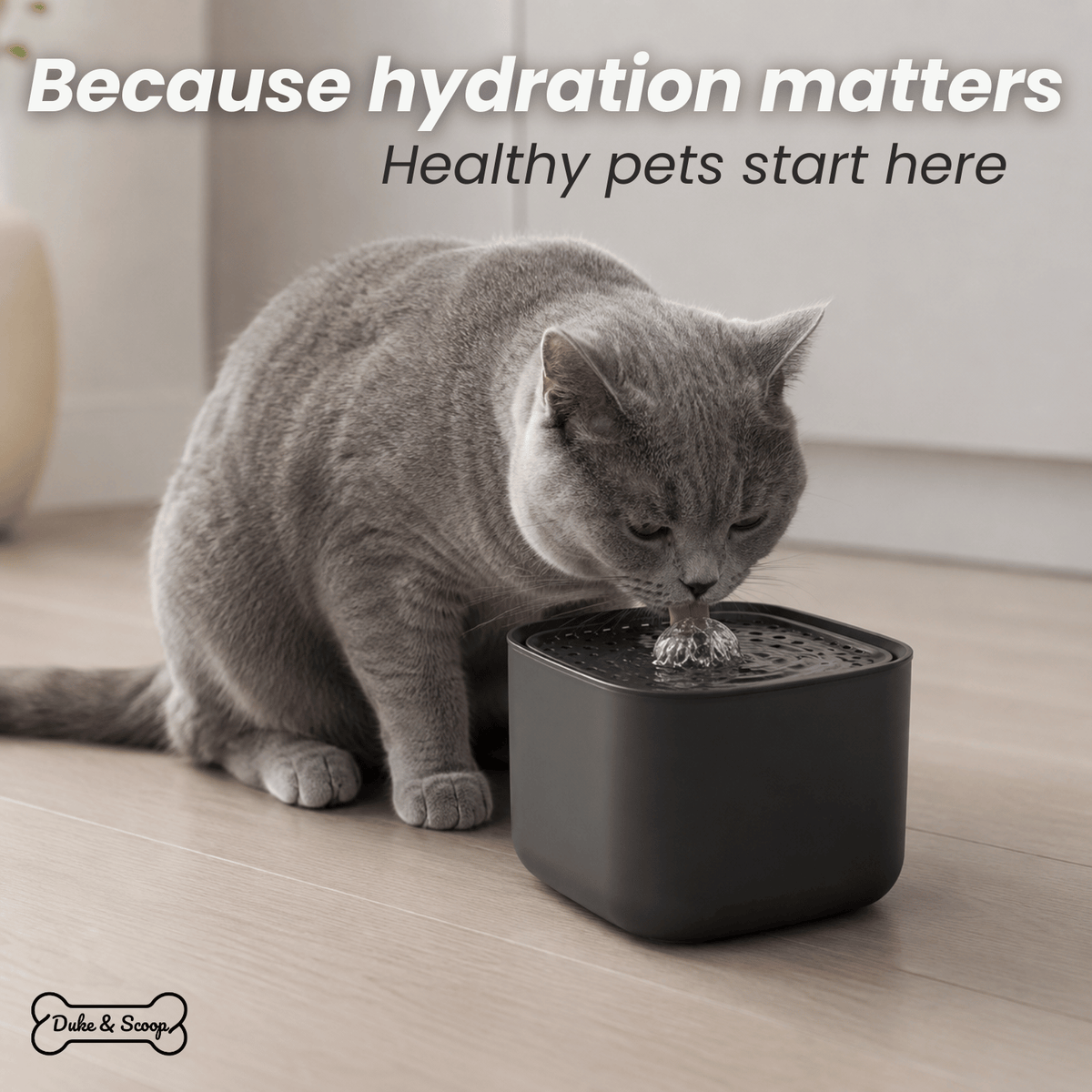 3L Automatic Cat Water Fountain – FlowActive™